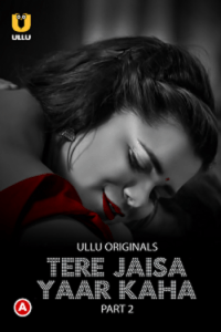 Download Tere Jaisa Yaar Kaha [18+] (2023) S01 Part 2 Hindi ULLU Originals Complete WEB Series 480p | 720p | 1080p WEB-DL